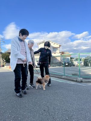 青空の下での様子