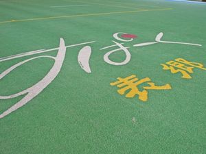 芝生の屋外スペース  