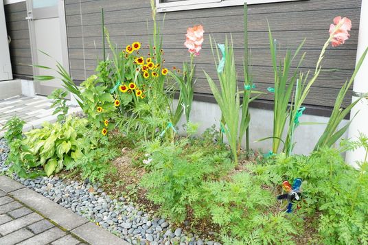 花々が植えられた施設の庭