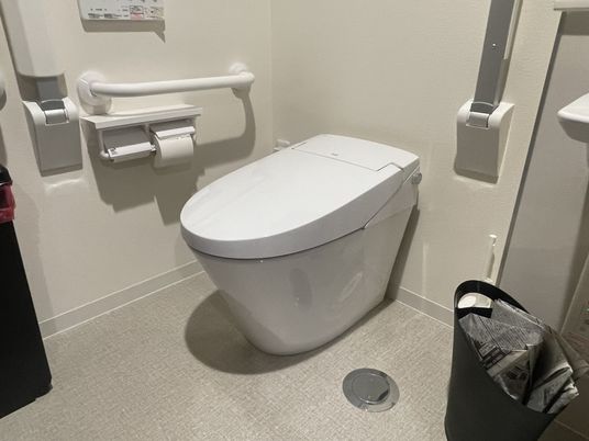 清潔な施設のトイレ