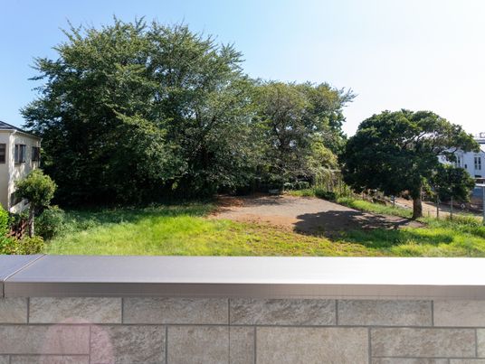 草木が広がる庭