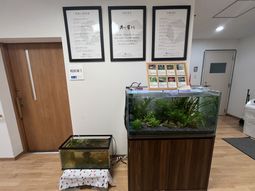 水槽があるエントランス