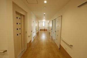 優しい光が差し込む廊下