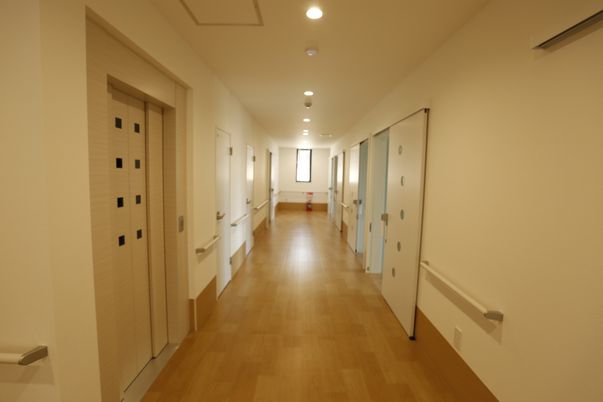 優しい光が差し込む廊下