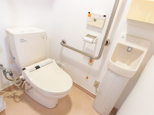 安全な洗面兼トイレ