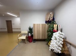 廊下の植物や椅子