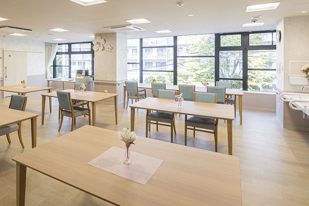 自然光と窓のある食堂