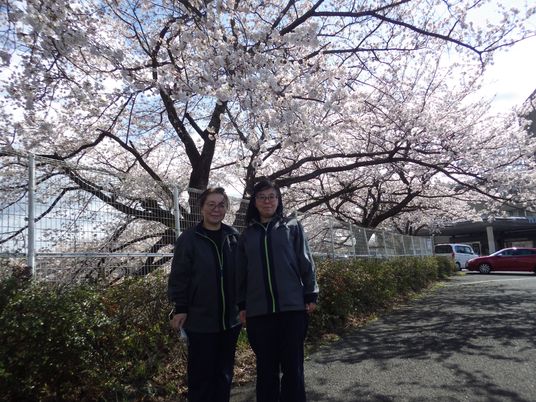 桜の下の職員2人と庭  