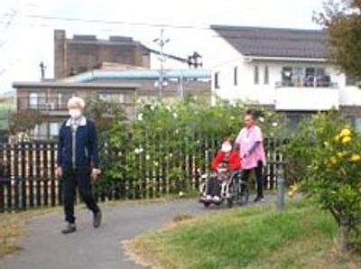 自然豊かな庭