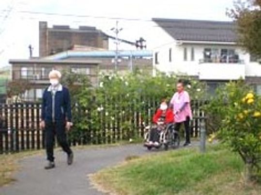 自然豊かな庭