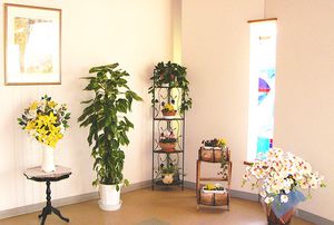 緑豊かな植物が飾られたスペース