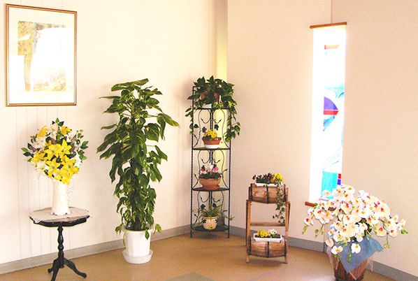 緑豊かな植物が飾られたスペース