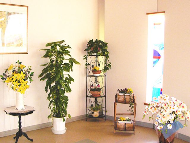 緑豊かな植物が飾られたスペース 内観 明るい空間に植物が飾られ、癒しの雰囲気が広がっています。自然を感じるリラックスしたひと時を提供します。