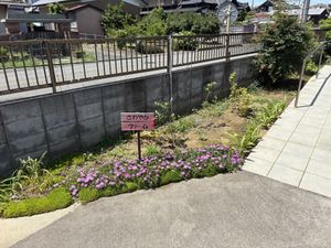 彩り豊かな花壇