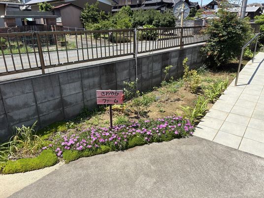 彩り豊かな花壇