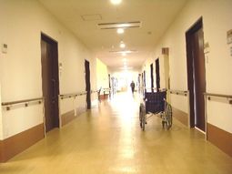 廊下の明るいひととき