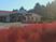 紅葉が映える建物外観  
