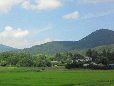 自然豊かな風景