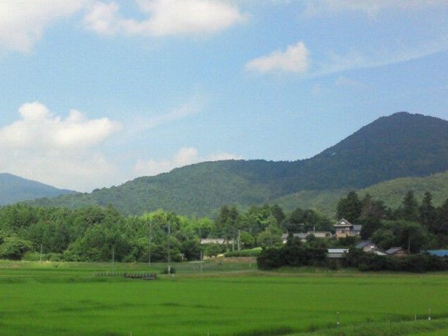 自然豊かな風景 庭 緑豊かな風景が広がり、リラックスできる環境です。自然の中で心穏やかに過ごすことができます。