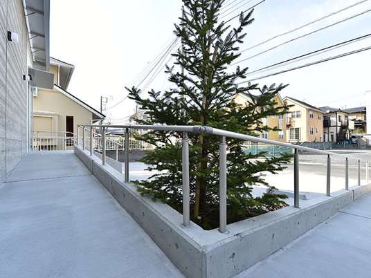 中庭の植栽と通路  