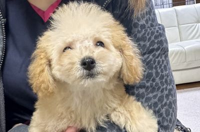 スタッフイメージ