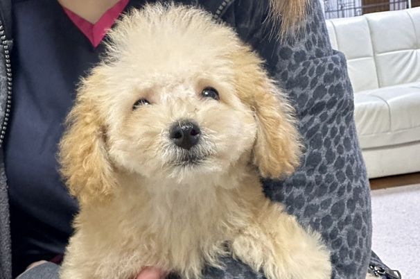 スタッフイメージ