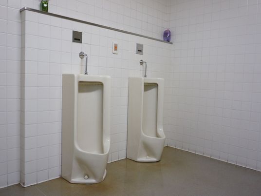清潔なトイレの便器