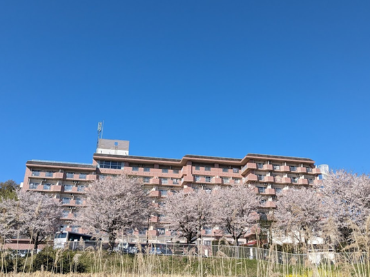 桜並木のある建物外観  