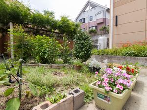 中庭の緑豊かな景色