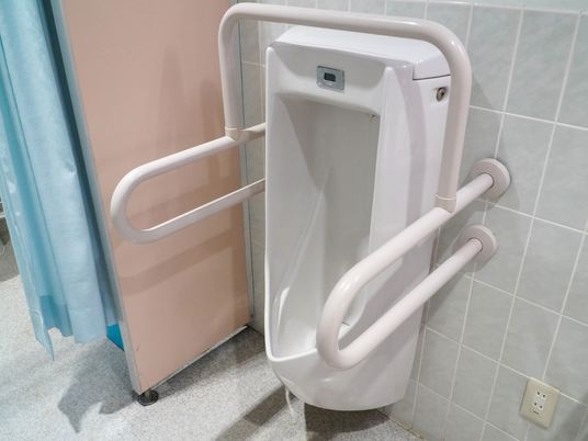 手すり付きの清潔なトイレ