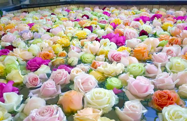 色とりどりの花が浮かぶ浴槽