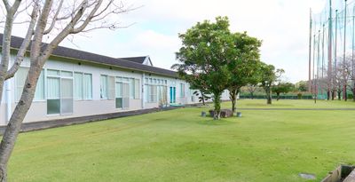 穏やかな緑の庭