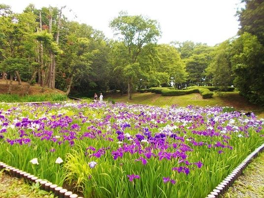 色とりどりの花が咲く庭