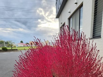 介護老人保健施設 つまさとの外観