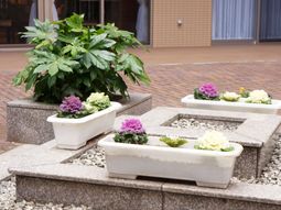 植物に囲まれた中庭