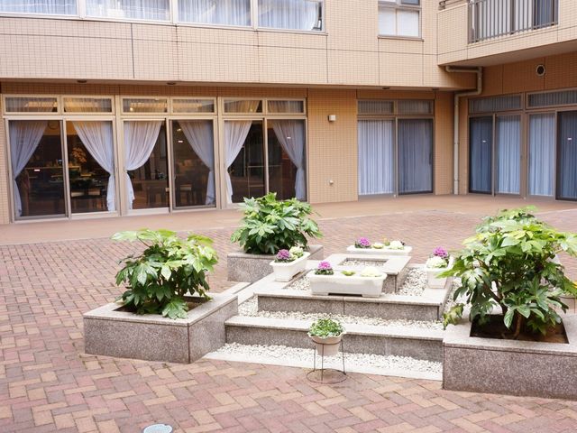 明るい庭の観葉植物 中庭 ゆったりとした時を過ごせる中庭です。周りは大きな窓で囲まれ、開放感のあふれる空間となっております。