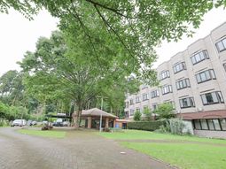 緑豊かな中庭風景