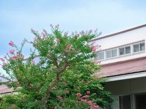 花木のある外観  