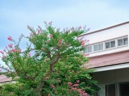 花木のある外観  
