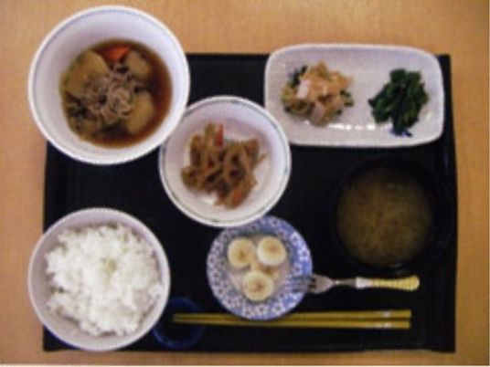 和食風の栄養バランス食