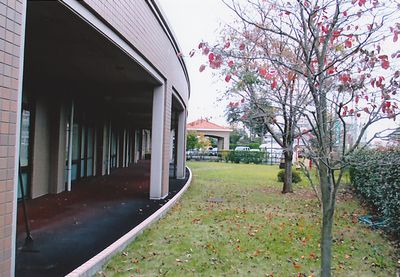 紅葉の広がる中庭