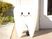 歯の形の看板と出入口  