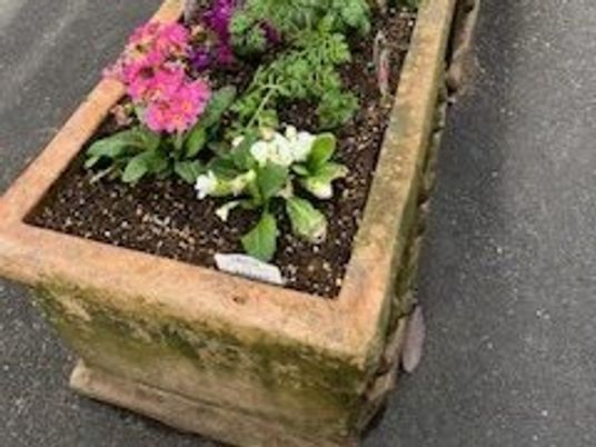 花壇のある庭  