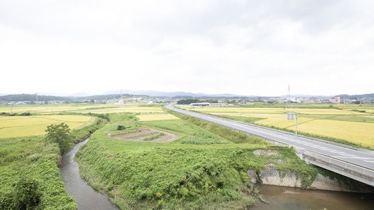 広がる緑の風景