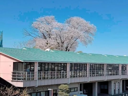 桜を望む建物外観  