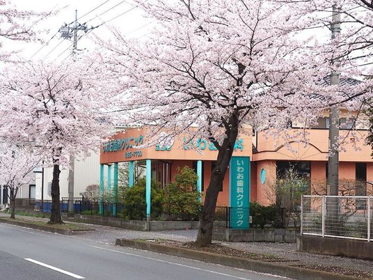 桜並木のある外観  
