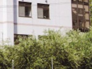 緑が豊かな建物外観