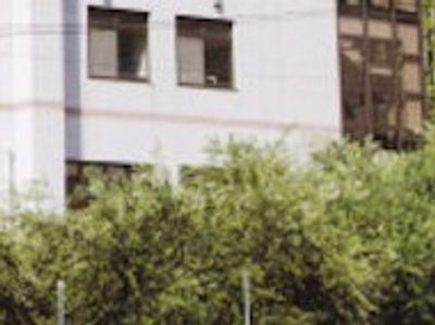緑が豊かな建物外観