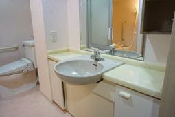 清潔感のある洗面台とトイレ