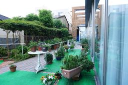 緑豊かなテラス風景